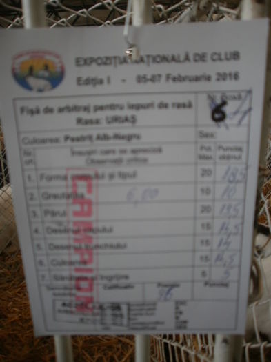  - 0 - REZ EXPO BRAȘOV FEB 2016