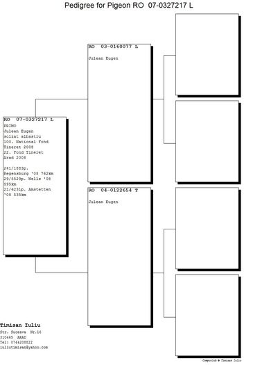 327217-07M - Pedigree M