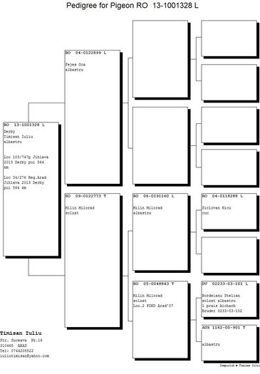 1001328-13M - Pedigree M