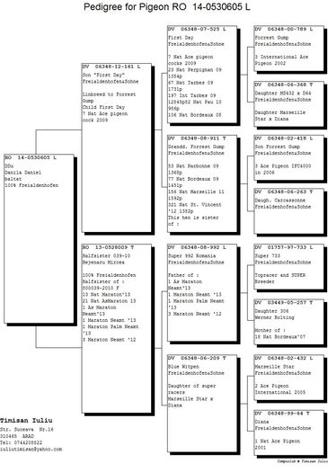 530605-14M - Pedigree M