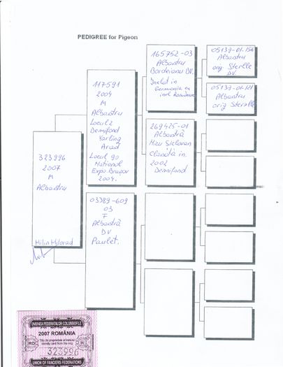 323996-2007 M - Pedigree M