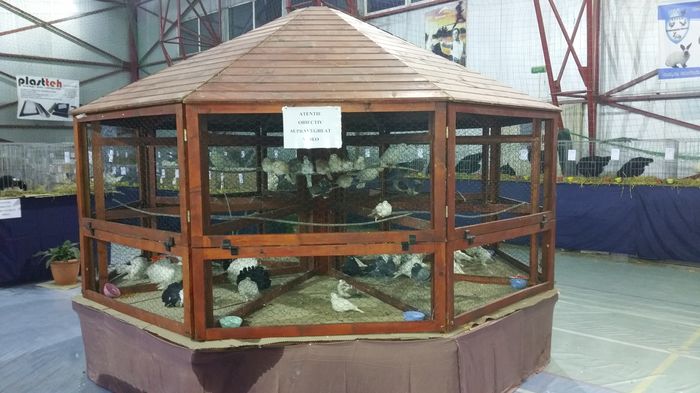 20160204_215057 - S- Expozitie Gherla 2016