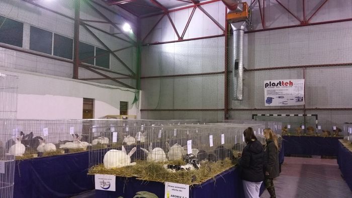 20160204_215139 - S- Expozitie Gherla 2016