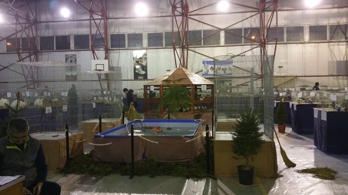 20160204_223105 - S- Expozitie Gherla 2016