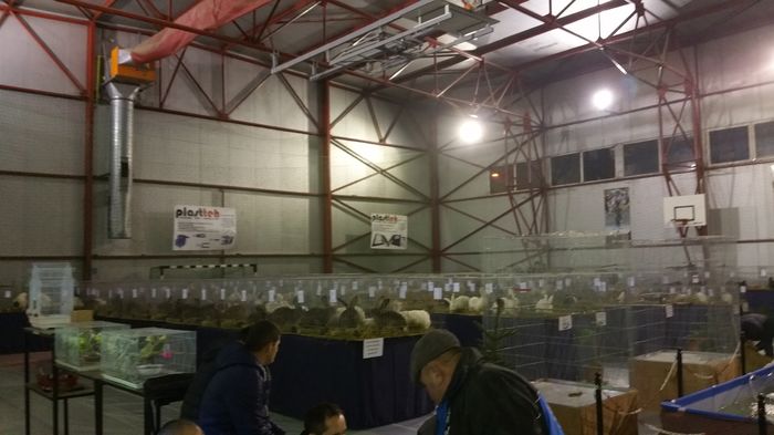 20160204_223121 - S- Expozitie Gherla 2016