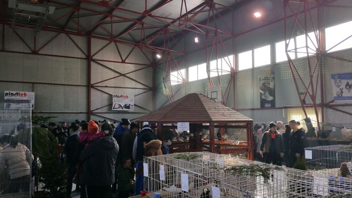 20160207_113906 - S- Expozitie Gherla 2016