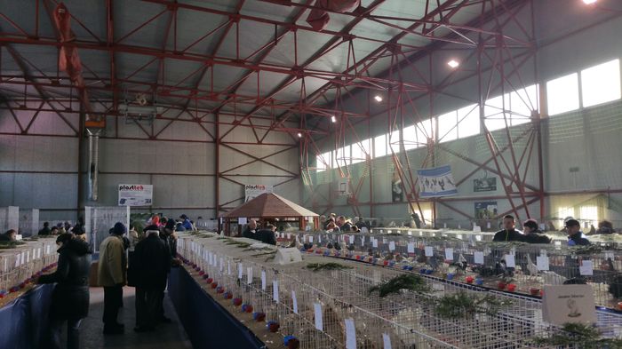 20160207_113924 - S- Expozitie Gherla 2016