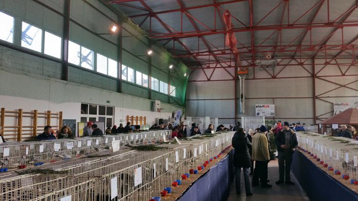20160207_113927 - S- Expozitie Gherla 2016