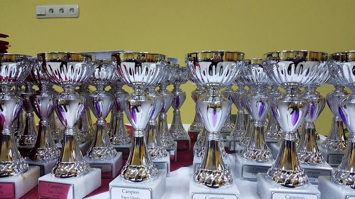 12654299_1700073290259954_2112197604675355729_n - S- Expozitie Gherla 2016