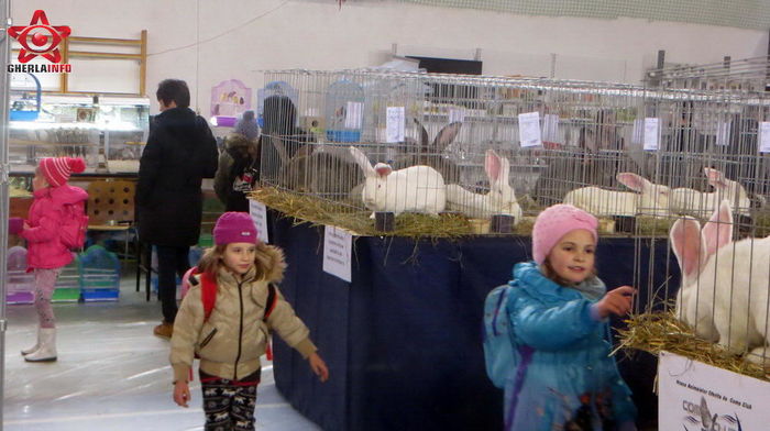 IMG_1249 - S- Expozitie Gherla 2016