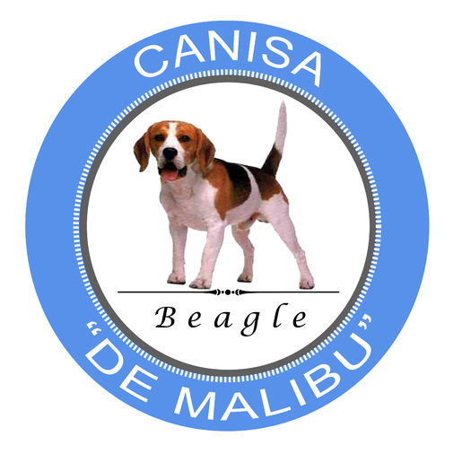 Logo Beagle