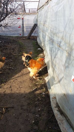 20160208_142829