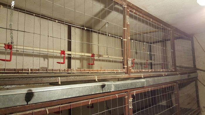 IMG-20160118-WA0005-2