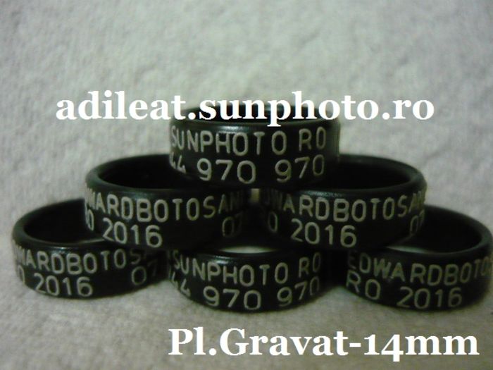 www.adileat.sunphoto.ro