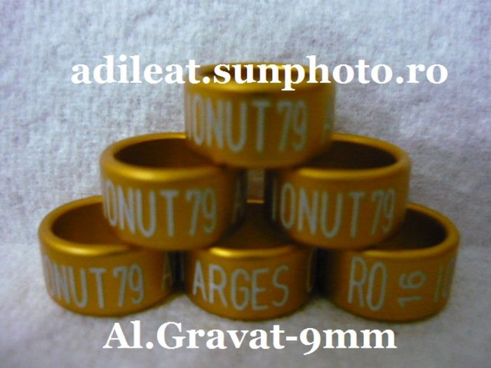 www.adileat.sunphoto.ro