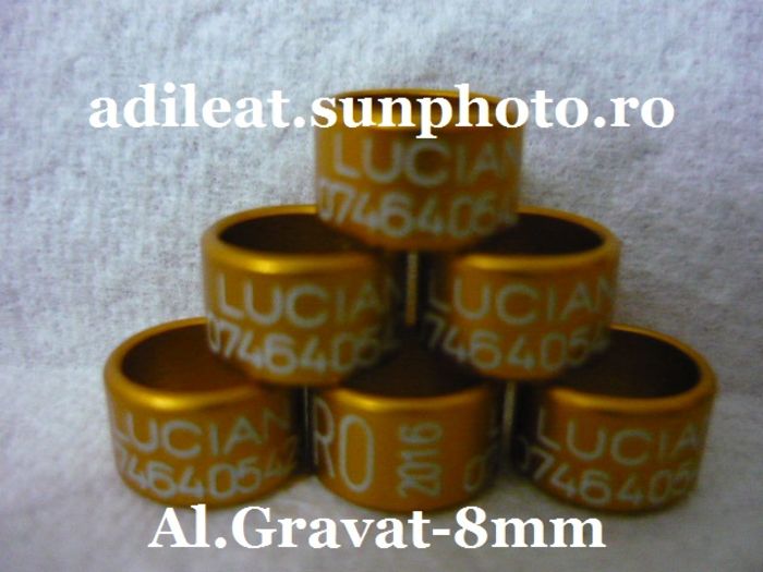 www.adileat.sunphoto.ro