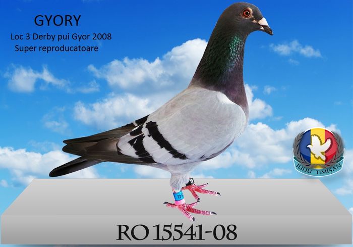 RO 15541-08