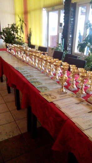 received_837548139706939 - Festivitatea de premiere anul competitional2015