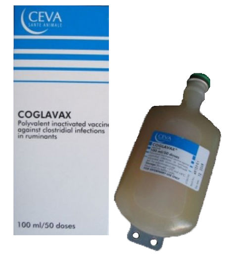 Coglavax; vaccin impotriva anaerobiozelor.2 ml s.c. cu rapel la 14 zile.
