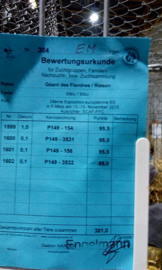 Fisa de arbitraj a campionului de urias german albastru achizitionat