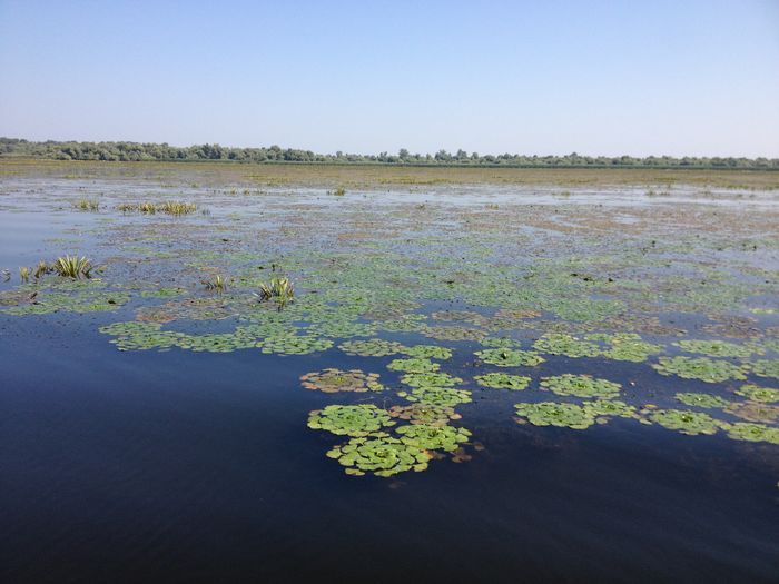IMG_3258 - poze DELTA 2013
