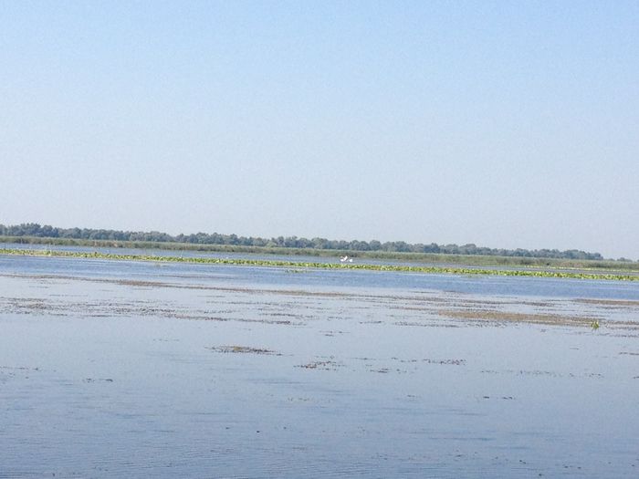 IMG_3282 - poze DELTA 2013