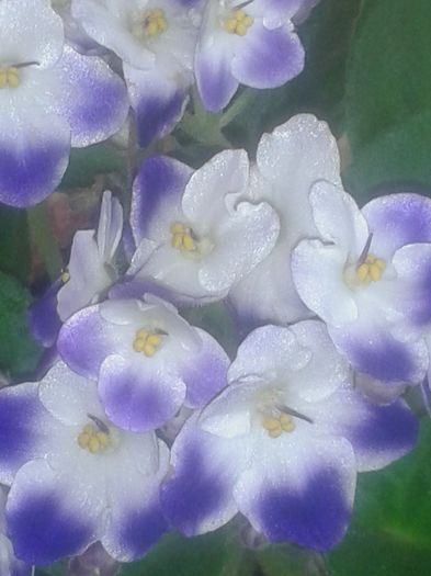 20160207_101026