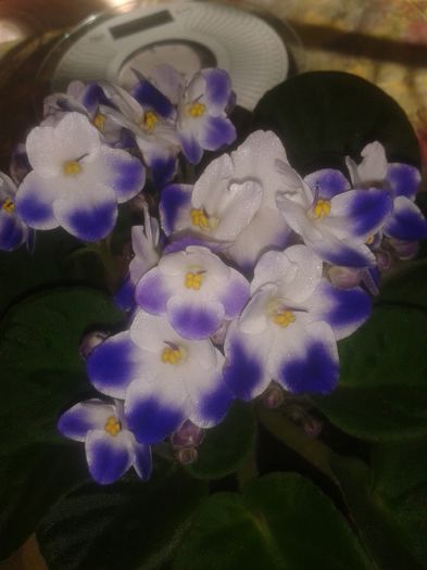 20160207_101033