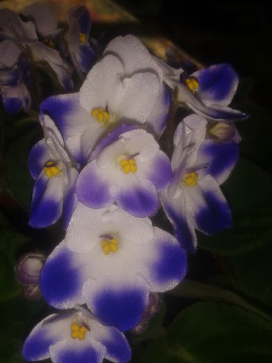 20160207_101055