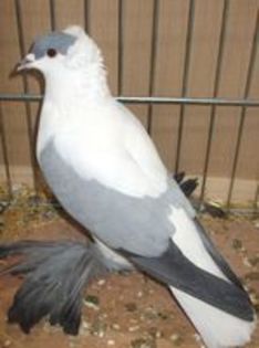 94122826_UYIHTWA3