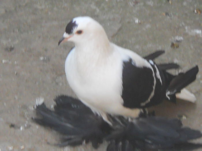 102534015_UADWEYK