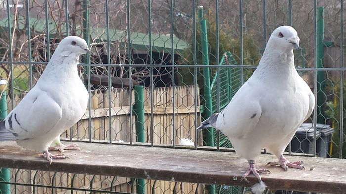 M-2014-76&F-2014-447