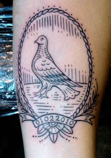 outline-pigeon-frame-tattoo-562x800 - 0  About
