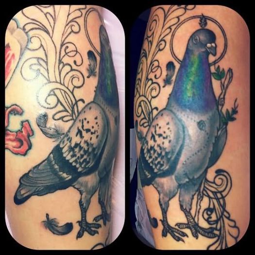 color-pigeon-tattoos-578x578