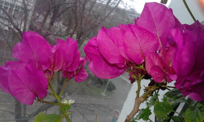 20160210_131741