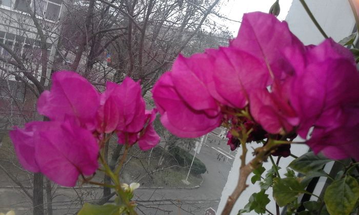 20160210_131749