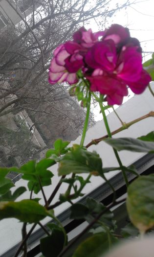 20160210_131830