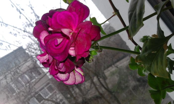 20160210_131845