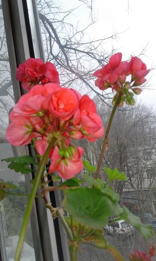 20160210_132000