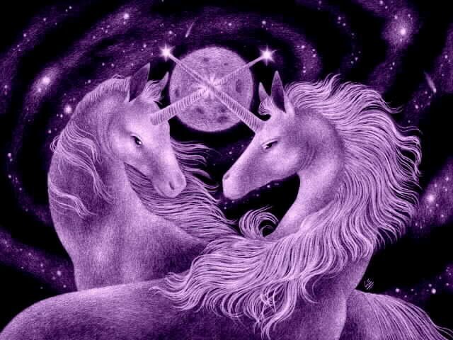 2_unicorni - Unicorni