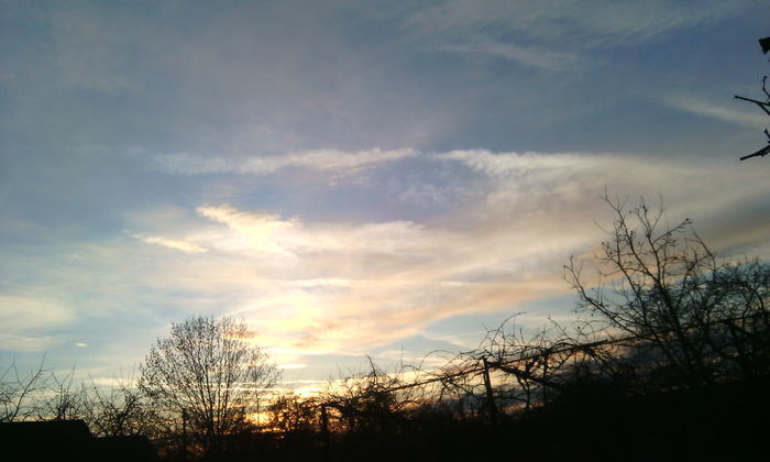 IMG_20160208_171911[1]