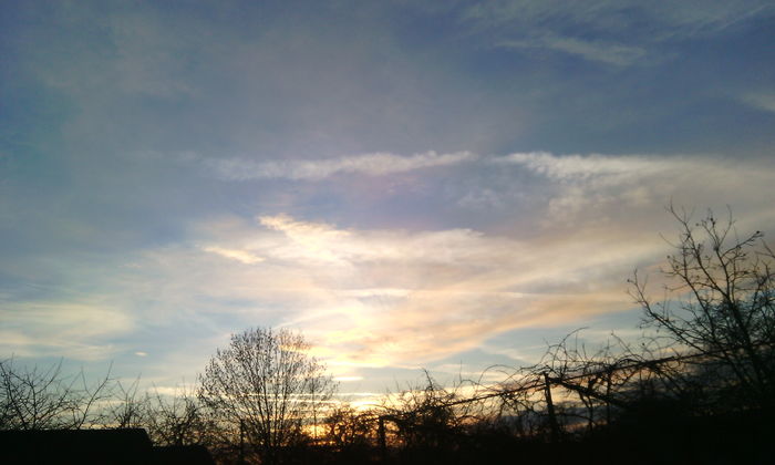 IMG_20160208_171952[1]