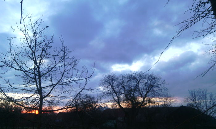 IMG_20160209_172813[1]