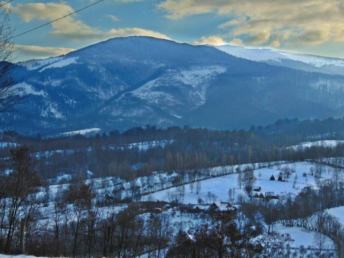 zona Dâlja - Iarna 2016