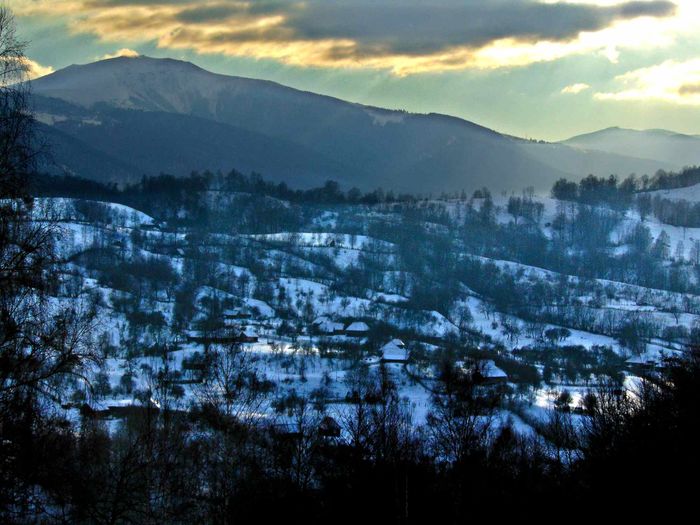 zona Dâlja - Iarna 2016