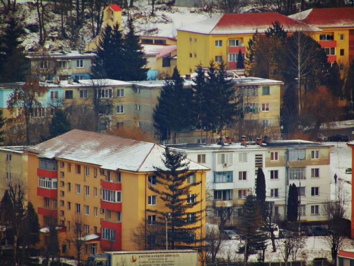DSC03829 - Iarna 2016