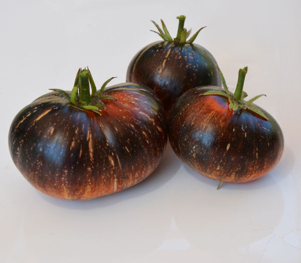 Dark Galaxy Tomato - TOMATE 2016