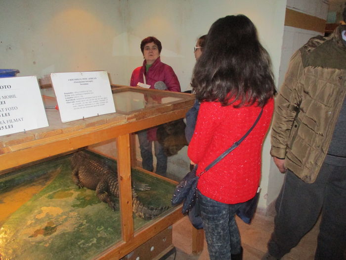 IMG_0870 - 2016 - Excursie februarie - partea 2