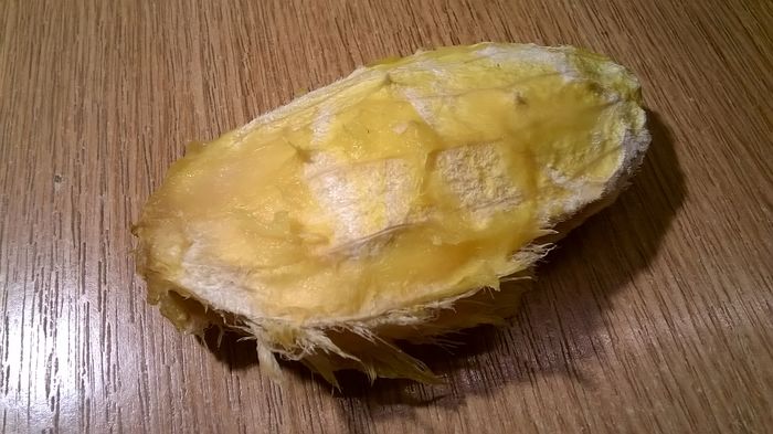 Mango -samanta - Experimente - insamantari diverse