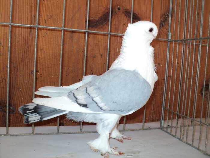 DSC00981 - contact